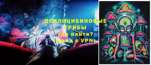 ПСИЛОЦИБИНОВЫЕ ГРИБЫ Алексин