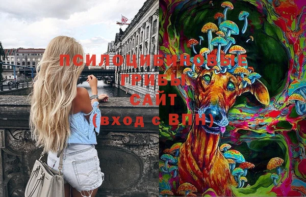 ПСИЛОЦИБИНОВЫЕ ГРИБЫ Алексин