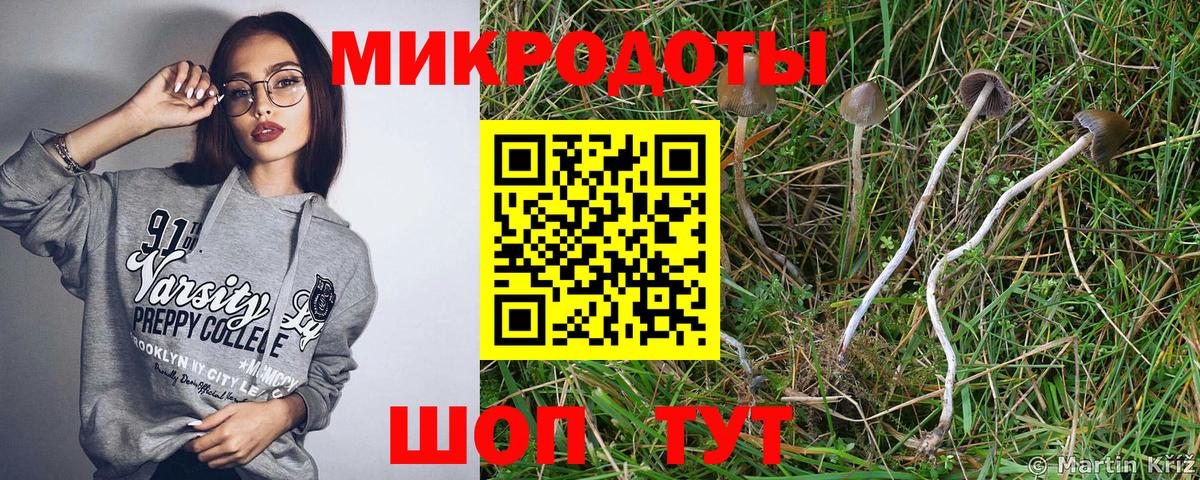 Амфетамин Томск
