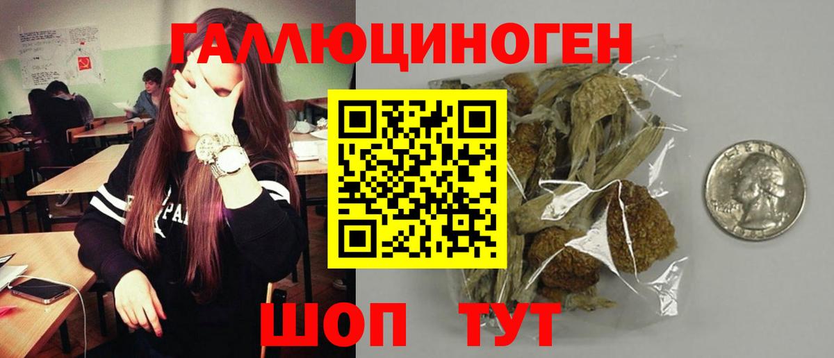 Томск  Псилоцибиновые грибы MAGIC MUSHROOMS  Вход с VPN 