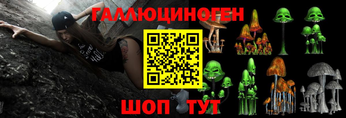 Галлюциногенные грибы Psilocybine cubensis Томск